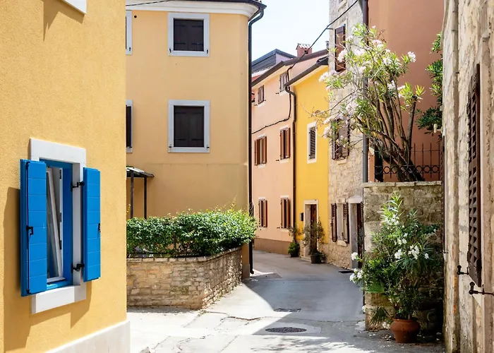 In Novigrad By Interhome Lejlighed