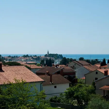 아파트 In Novigrad By Interhome