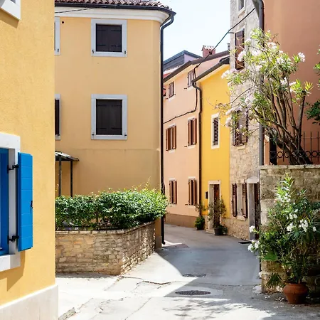 In Novigrad By Interhome Apartman